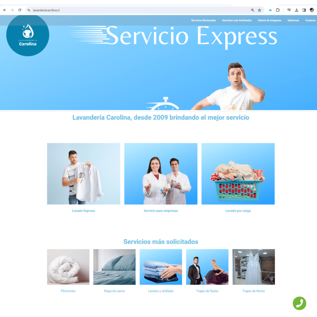 pagina web urgente Lavandería Carolina